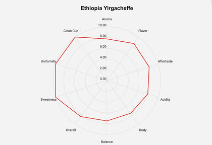 Ethiopia Yirgacheffe - Premium Green Coffee Bean - Unroasted Coffee Bean - 2lb