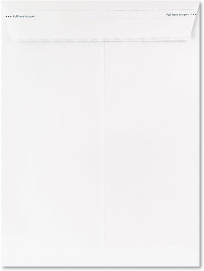 Fastrip Security Catalog Envelope, 9 Inch x 12 Inch, Peel & Seal Adhesive, Security Tint, Tear-Away Quick-Open Strip