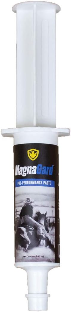 Pre-Performance Paste for Horses - All Natural Calmer, Acid Buffer, Gastric Support w/Electrolytes - 60ml Syringe