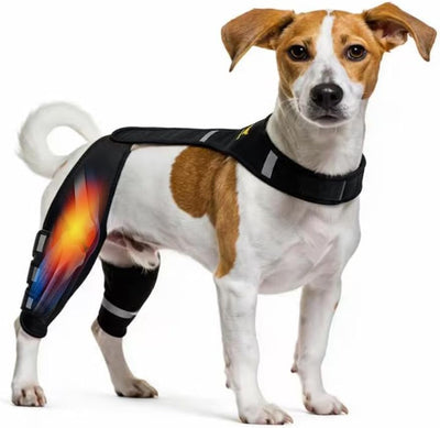 Dog Knee Brace for Torn Acl Hind Leg Provide Flexible Support for Both Legs | With Adjustable Straps That Perfectly