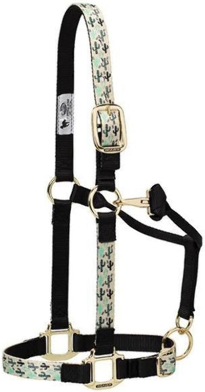 Weaver Leather Adjustable Patterned Nylon Horse Halter, Cactus, Average Horse