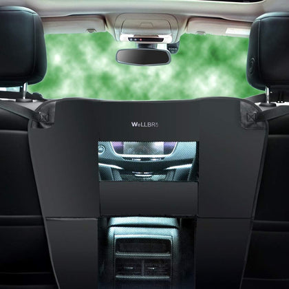 Dog Car Barrier for Back Seat, Padded Nylon Net, 2 Mesh Windows
