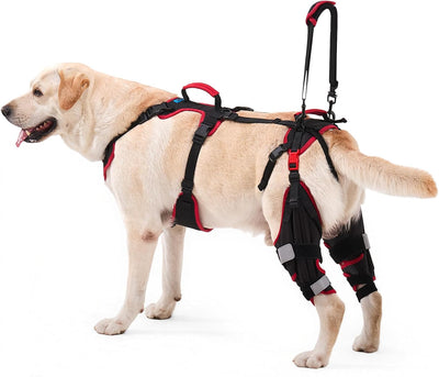 Dog ACL CCL Knee Brace for Large Dogs, Set of 2 Hind Leg Braces with Handles & Shoulder Strap – Non-Slip Support for