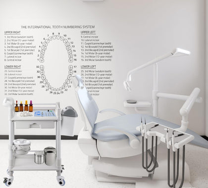 MT01 2 Tier Mobile Medical Cart Trolley with Drawer, Trash Cans, Waste Bowl | Beauty Salon Rolling Trolley with 360°