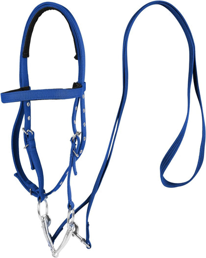 Adjustable Horse Bridle with Stainless Steel Bit, Black Nylon Headstall with Reins, Non-Slip Design