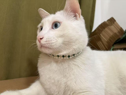 Handmade Cat and Dog Pearl Collar Elegant Adjustable Pet Necklace Sparkling Rhinestones, Pet Jewelry Accessories for