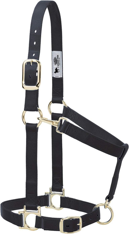 Nylon Horse Halter, Average Horse, Padded & Adjustable, 1 in