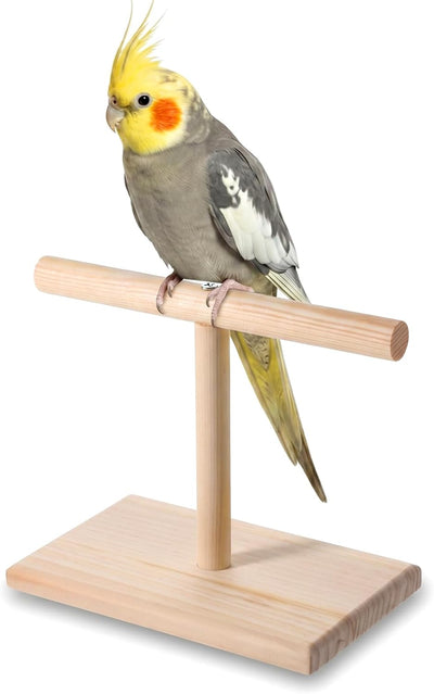Bird Perch Stand, Bird Training Portable Tabletop Parrot Stand
