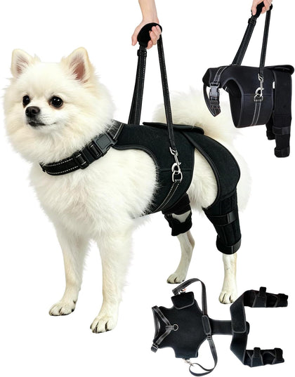 Dog Knee Brace and Lift Harness for Back Legs Rear Leg Support for Dogs with Detachable Lift Handle, Adjustable Dog