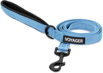 Voyager Reflective Dog Leash or Collar with Neoprene Handle, for Small, Medium, and Large Breed Puppies, Cute and