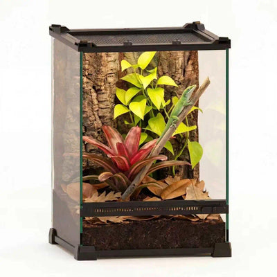 10"x10"x14" Reptile Terrarium, Single-Door Glass Arboreal Vivarium for Small Arboreal Lizards Such as Juvenile Green
