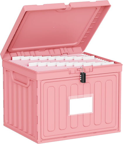 Plastic File Box with Lid for Letter Size Hanging File Folders, Hanging File Folder Box for Home, Office, School