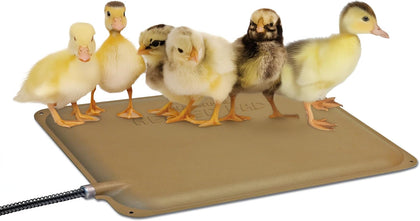 K&H Heating Pad, Thermo-Peep Chicken Heating Pad for Brooders Safety Listed