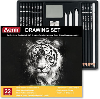 Charcoal Pencils for Drawing, Set of 22, Professional Drawing Sketch Pencils, Charcoal Art Supplies for Sketching