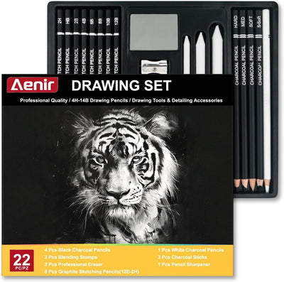 Charcoal Pencils for Drawing, Set of 22, Professional Drawing Sketch Pencils, Charcoal Art Supplies for Sketching