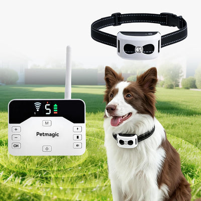 2-in-1 Wireless Dog Fence and Shock Collar for Large Dogs