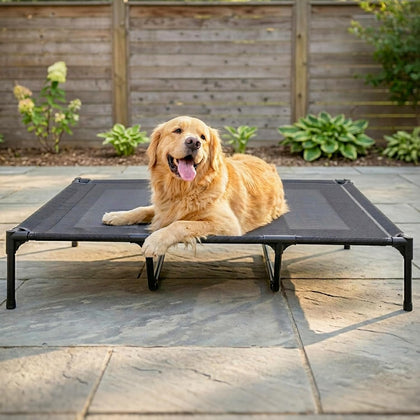 Elevated Dog Bed for Large Dogs 120lb, Breathable Cooling Raised Dog Cot with Dual Support Bars & Metal Frame
