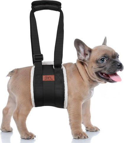 Adjustable Dog Lift Harness for Small Dogs Hind Leg Support Weak Legs Aid