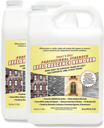 Smart 'n Easy Efflorescence Remover - Heavy Duty Professional Strength Formula - Removes The Toughest Salt, Calcium