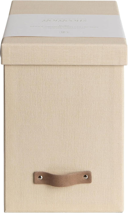 Bigso John File Box - File Storage Box and File Organizer for Important Paperwork - Durable Hanging File Box with Lid