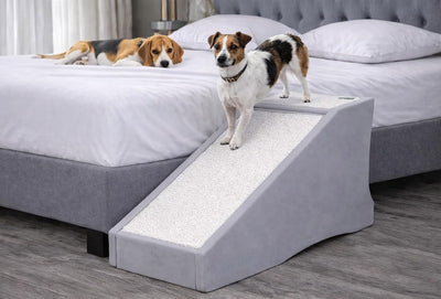 Stramp Stair and Ramp Combination for Dogs/Cats, Sea Salt