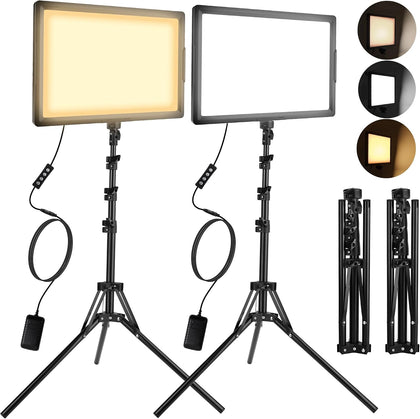 20W LED Photo Video Light 2-Pack, Bi-Color Dimmable Camera Lights | Photography Lighting Kit 2800-6500K CRI 97+
