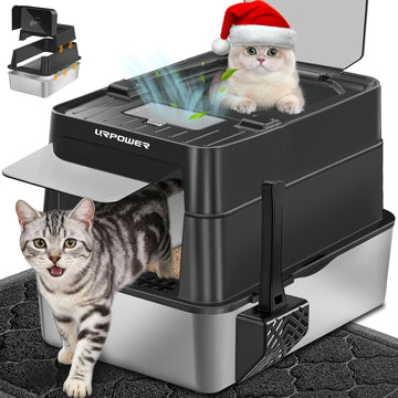 Cat Litter & Boxes