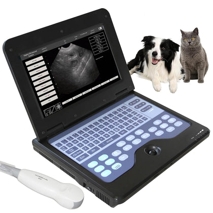 Portable Veterinary Ultrasound Scanner Micro Convex Probe