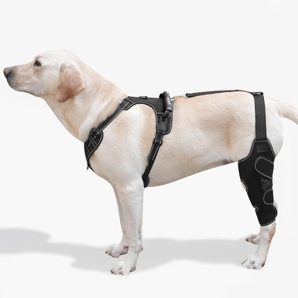 Dog Knee Brace with Adjustable Support – ACL & CCL Tear Recovery, Post-Surgery Stabilization, Mobility Aid for Rear