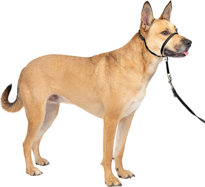 Gentle Leader No-Pull Dog Headcollar - The Ultimate Solution to Pulling - Redirects Your Dog's Pulling for Easier