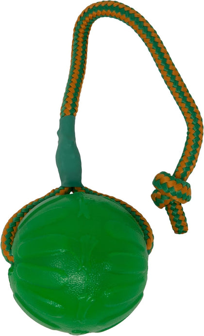Everlasting Fun Ball on a Rope Dog Toy,Greens,Medium/Large