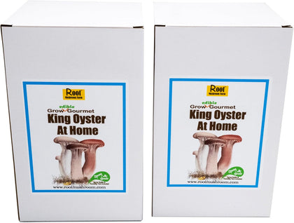 Two Mushroom Grow Kits, 3Lb Each (Two King Oyster Kits)