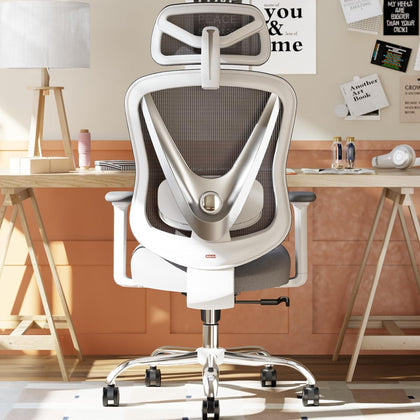 Ergonomic Mesh Office Chair - 3D Adjustable Lumbar Support & 3D Armrests, V-Shaped Back, Adjustable Desk Chair for