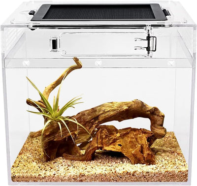 mini Reptile Terrarium,8" x 8"x 8" Reptile Tank with Full View Visually Appealing,for Insect,Fish,Tarantula,Hermit