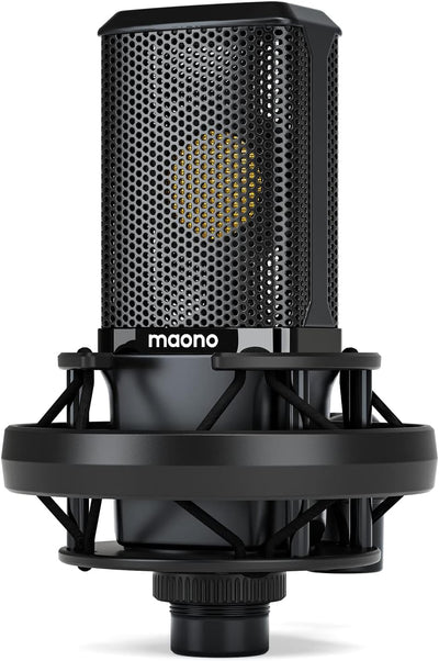 PM500 XLR Condenser Microphone, 34mm Large Diaphragm for Studio Vocal | Cardioid Pickup, Professional Studio Sound