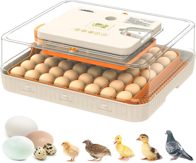 Incubators for Hatching Eggs Egg Incubator 56 Eggs with Auto Egg Turner for Duck Chicken Goose Eggs