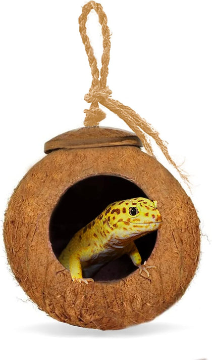 Leopard Gecko Coco Hut, Gecko Climbing Accessories, Raw Coconut Shell Reptile Hide, Terrarium Habitat Décor, 2.5”