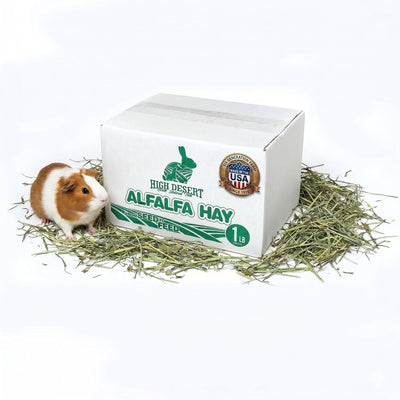 Alfalfa Hay for Young Rabbits and Guinea Pigs, 1 lb Box