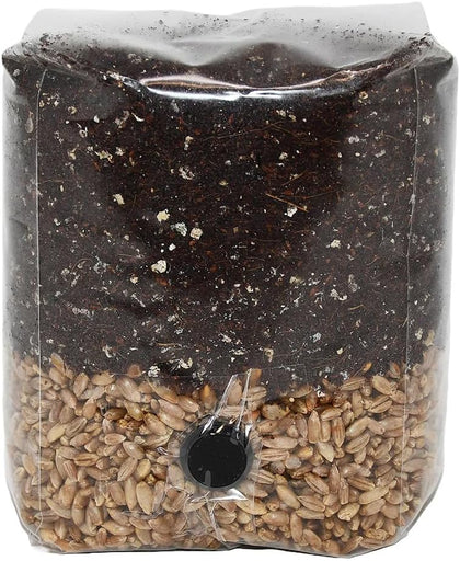 Mini All in One Mushroom Grow Bag