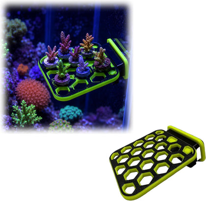 Magnetic Coral Frag Rack 3x3 Inch Reef Tank Frag Holder Compatible with Standard Coral Frag Plugs, Side Mount