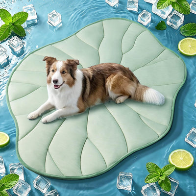 Dog Cooling Mat, 48" x 28" Reversible Self Cooling Mat for Large Dogs, Washable Arc-Chill Cooling Pad for Pets 2.0