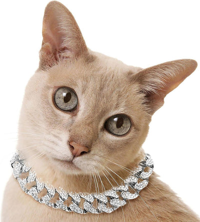 Cuban Link Cat Chain Collar, Iced Out Breakaway Collars for Kitten in Luxury Silver Tone, 12" L-Size, Great Choices