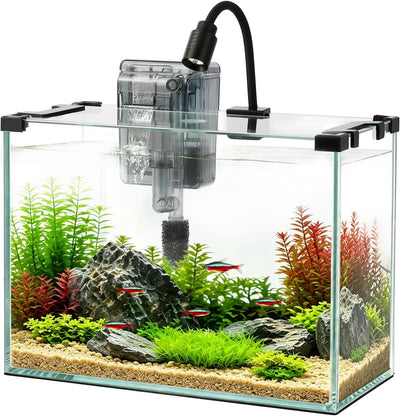 2.9 Gallon Small Glass Fish Tank Kit