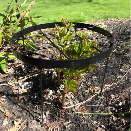 Large Peony Cages and Supports 18.9"x23.6" - Durable Round Garden Flower Rings | Tall Plant Support Stakes for