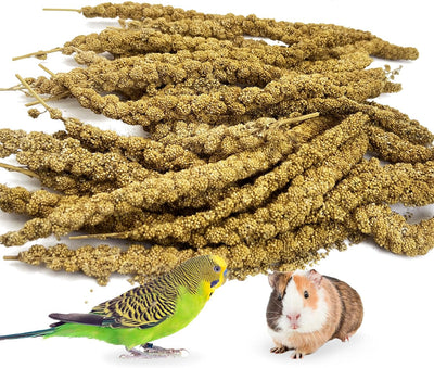 Spray Millet Treat, Sun-Dried Bird Millet Parakeet Treats 0.44LB