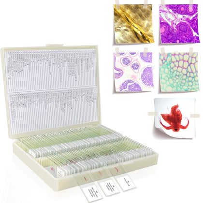 100 Prepared Microscope Slides Specimens, Kids Students STEM Science | Animal Plant Insect Specimens, Labels Round