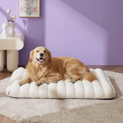 Cute Orthopedic Dog Bed for Extra Large Dogs, XL Waterproof Chic Flat Pet Beds with Removable Washable Cover, Fuzzy