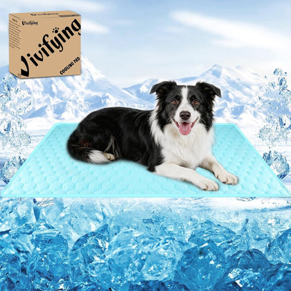 Cooling Mat for Dogs, Reversible Ice Silk, 40 x 30 in, Cyan
