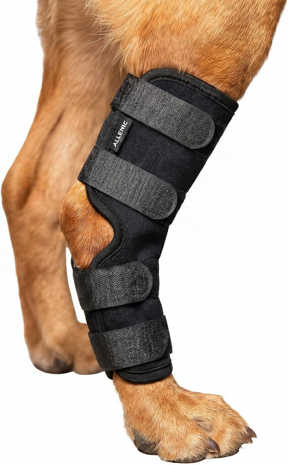 Dog Knee Brace for Hind Leg, Dog Hock Brace for Back Leg Support, Adjustable ACL CCL Brace for Dogs, Rear Leg Support