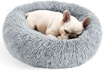 Dog Beds